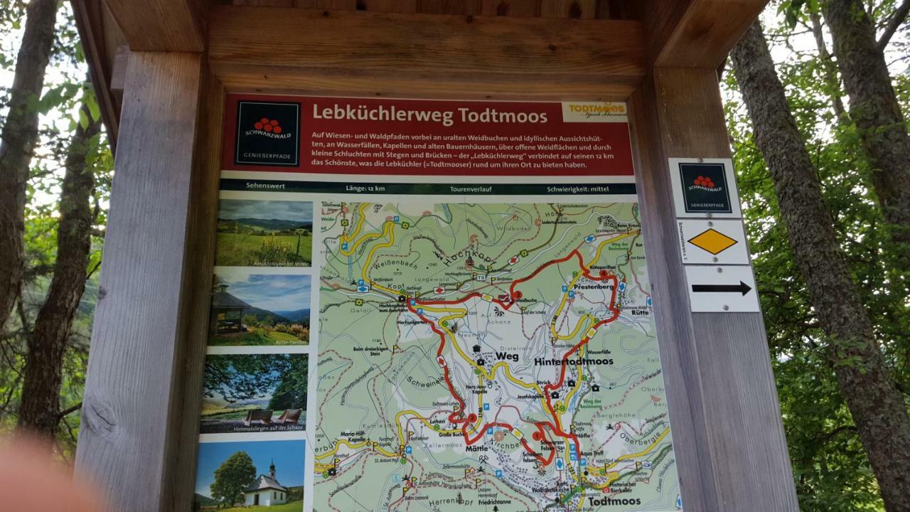 Ferienwohnung Im Schwarzwald Тодтмос Экстерьер фото