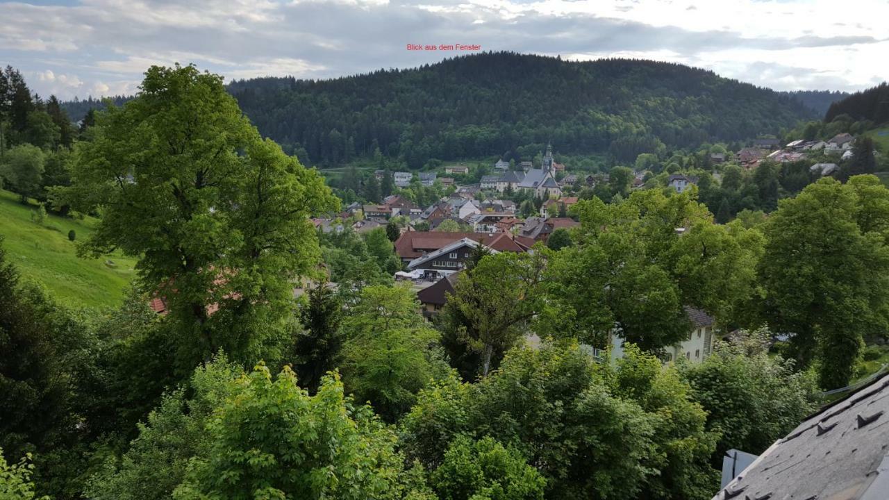 Ferienwohnung Im Schwarzwald Тодтмос Экстерьер фото
